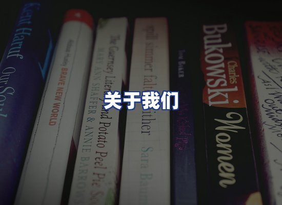 专业团队